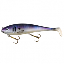 Shad