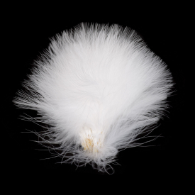 Fl. White (UV)