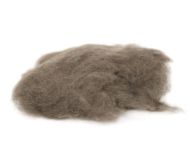 Muskrat Gray