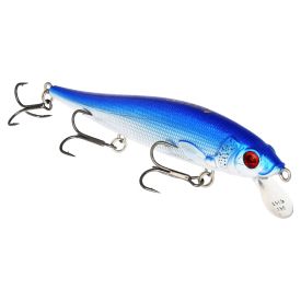 Shiny Sardine
