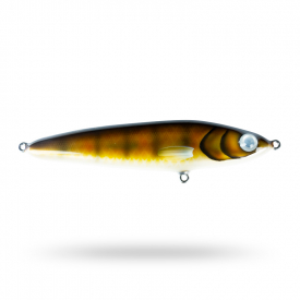 Zander