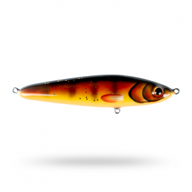 Autumn Perch