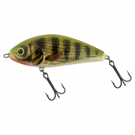 Holo Perch