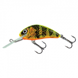 Gold Fluo Perch