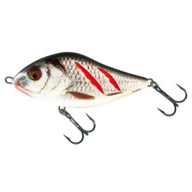 Wounded Real Grey Shiner