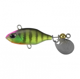 Sight Chart Gill