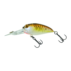 Brown Cream Purple Tiger