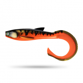 Scout Shad Curly