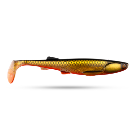 Golden Shiner