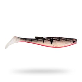Red Ghost Perch