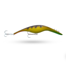 Yellow Perch