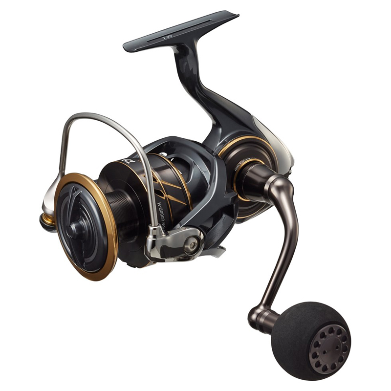 Daiwa 22 Caldia SW | Sportfishtackle.com