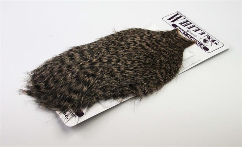Whiting Spey Hackle Hen Cape Grizzly dyed Salmon