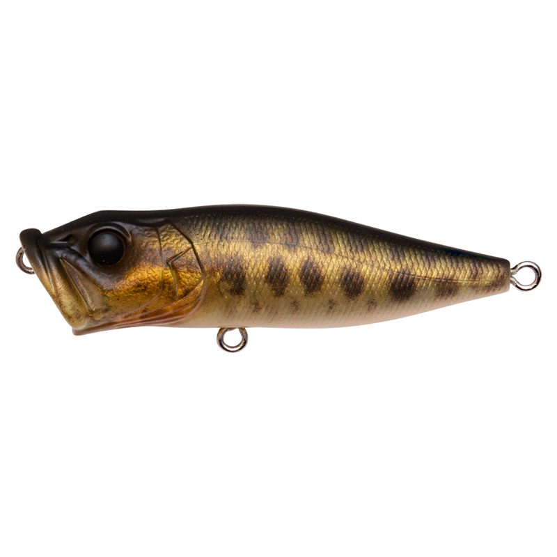 Megabass PopX | Sportfishtackle.com