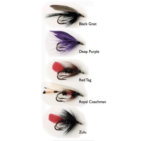 Wet Fly Double 5-pack