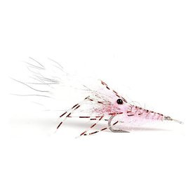 Leoshrimp Pink #6