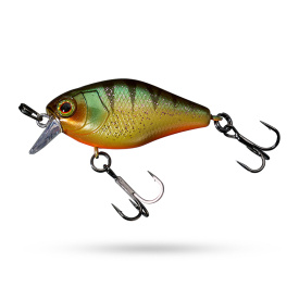 Jackall Chubby 41