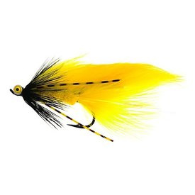 Zonky Yellow TMC7989 #6