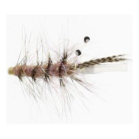 Alive Shrimp Tube Plast
