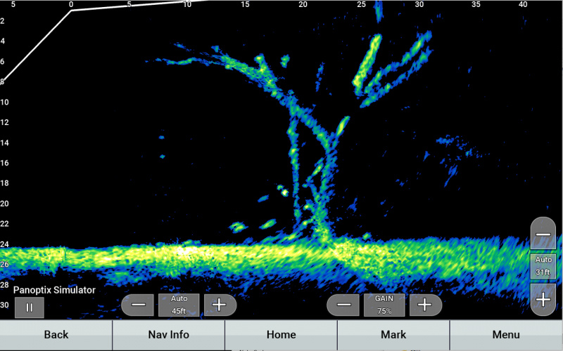 Garmin 010-02706-20 LiveScope Plus LVS34-IF トランスデューサー Livescope™ Plus System | Live Scanning Sonar