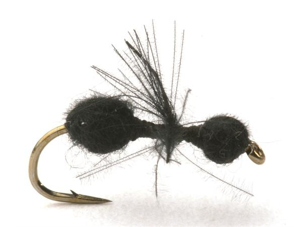 Guideline CDC Black Ant / Myra # 14