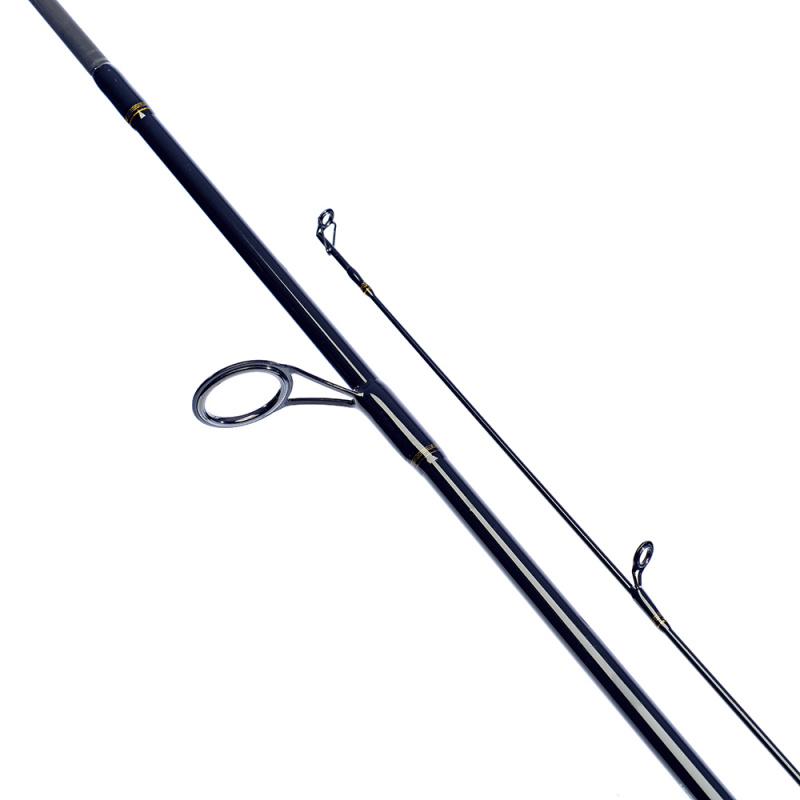Daiwa Laguna XT Spin (Spinning) | Sportfishtackle.com