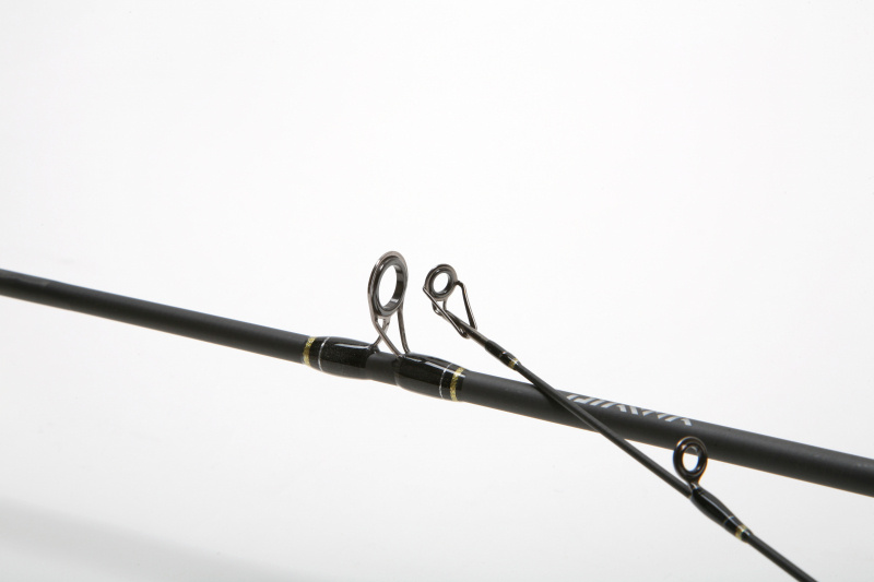 Daiwa Goldcast 2pc | Sportfishtackle.com