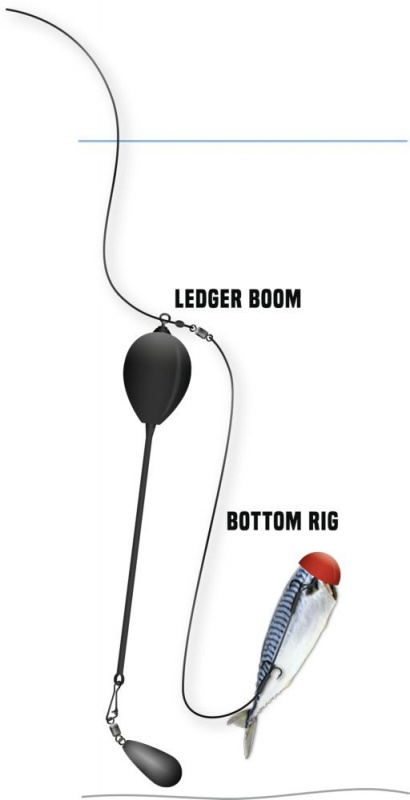 Quantum Mr. Pike Ledger Boom XL 17cm