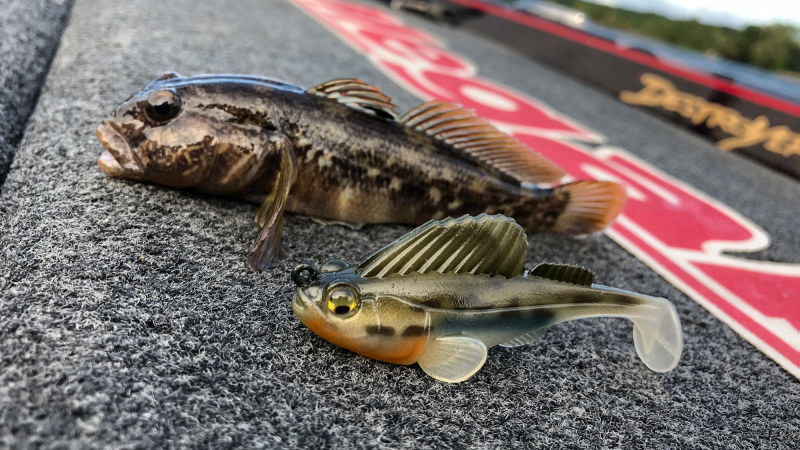 Megabass Dark Sleeper - Main Image