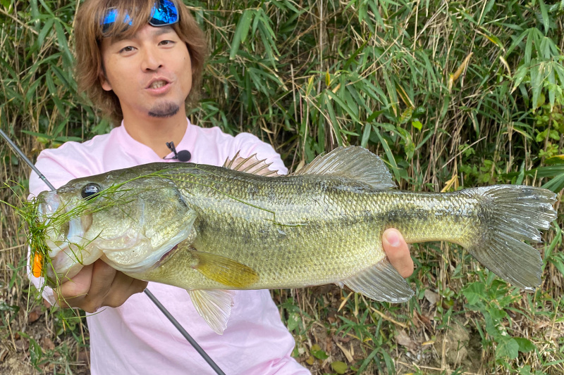 Megabass Vibration-X Dyna (Rattle In) | Sportfishtackle.com