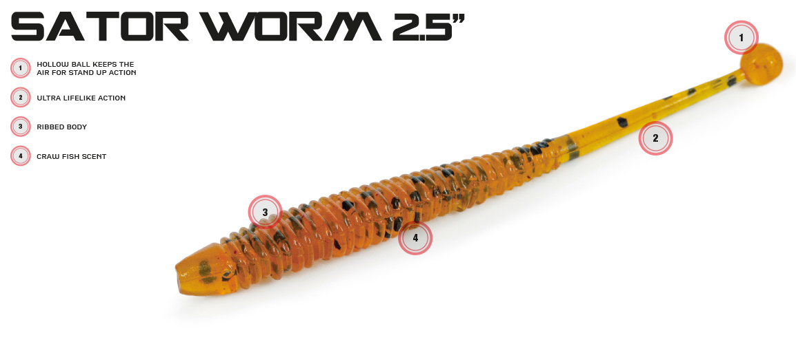 Molix Sator Worm 2,5\'\', 6,3cm